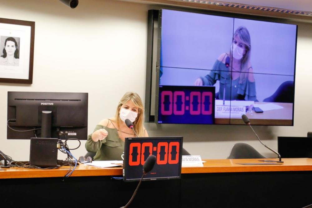 Seguridade aprova projeto de Flávia Morais com medidas para humanizar luto materno