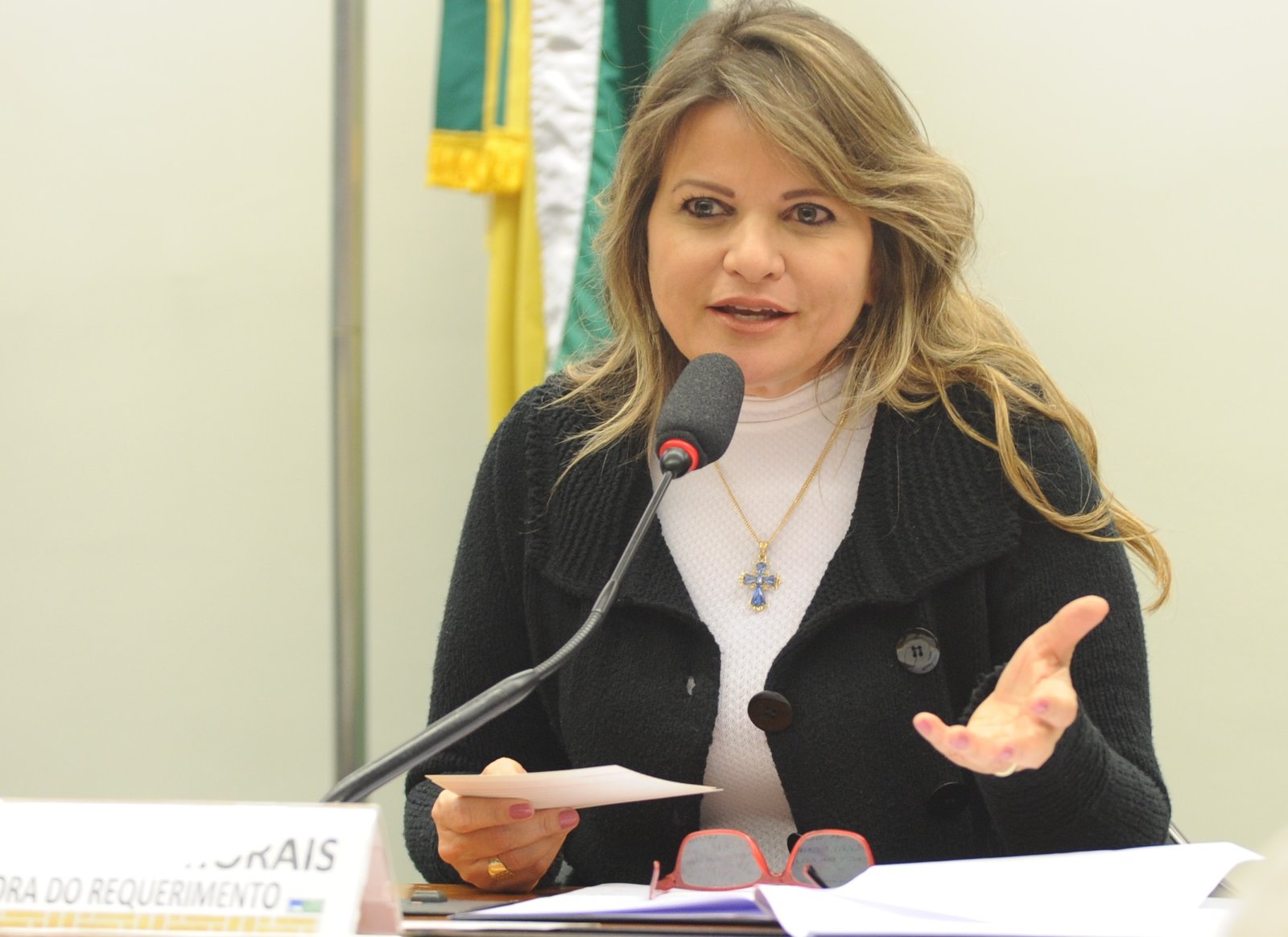 Comissão da Mulher aprova criação de serviço de proteção à gestante em situação de vulnerabilidade social