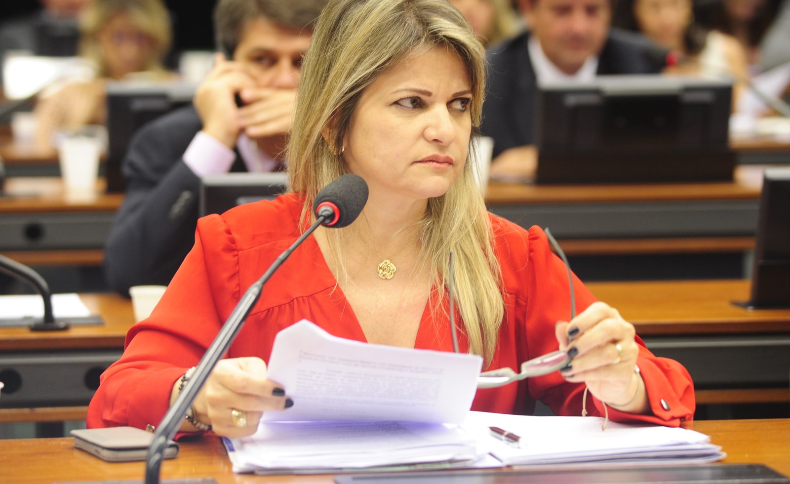 Comissão aprova projetos de Flávia Morais e que facilitam concessão do BPC