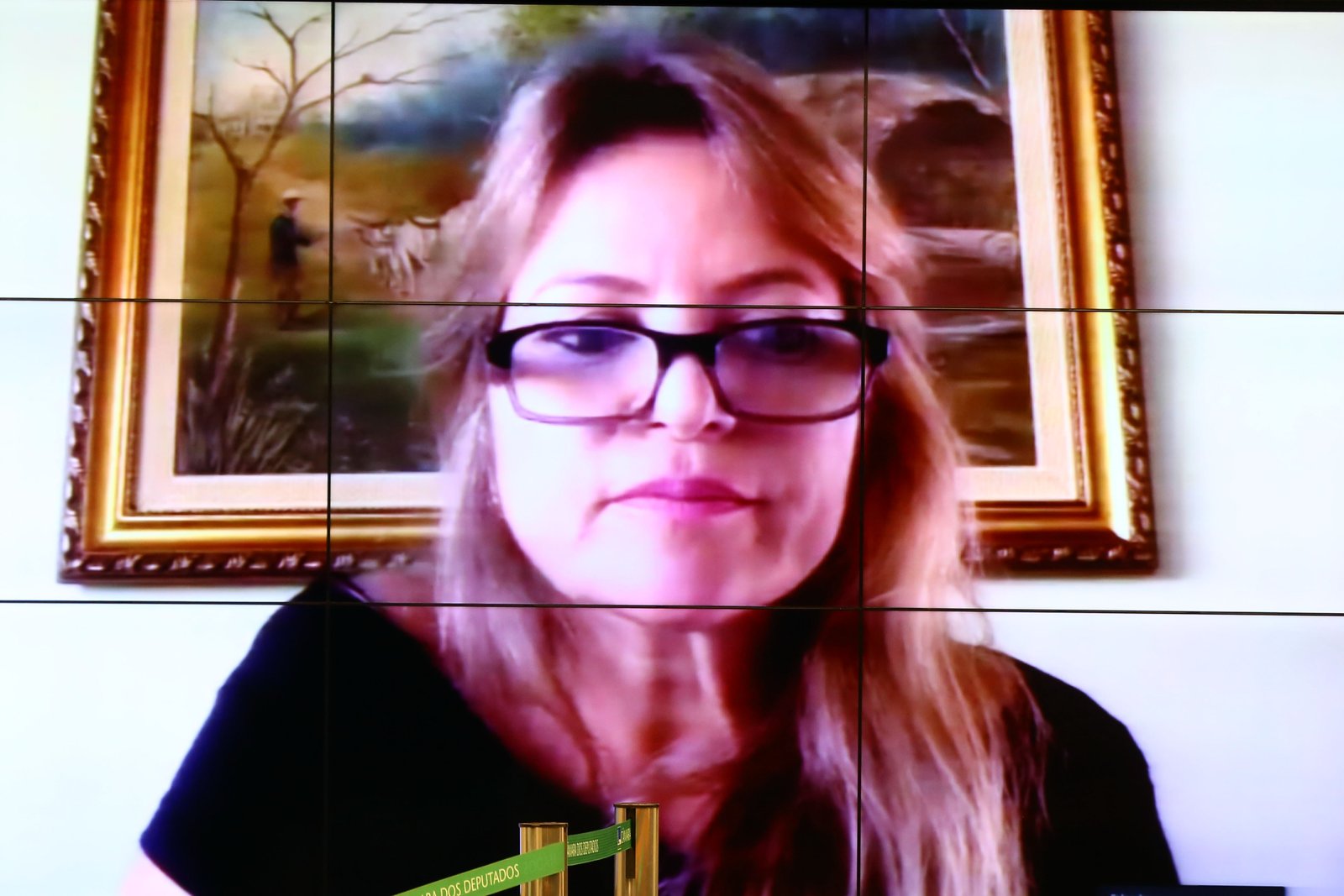 Comissão da Mulher debate parentalidade e seus direitos no Brasil