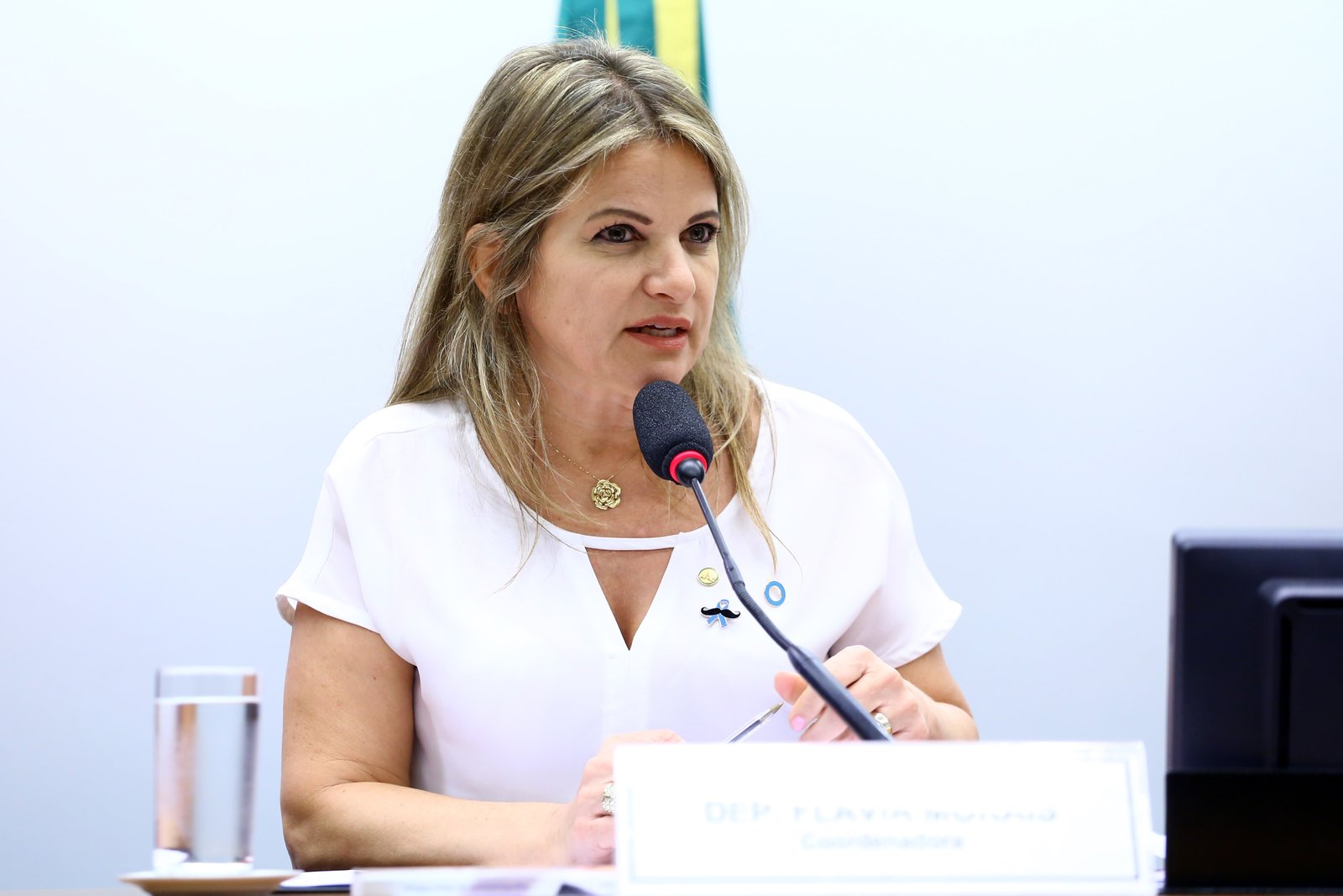 Comissão de Desenvolvimento Urbano aprova inclusão de novos municípios na região integrada do DF