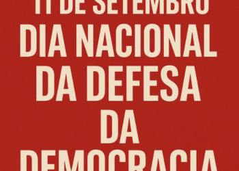Duda Salabert propõe criação do “Dia da Defesa das Instituições Democráticas”