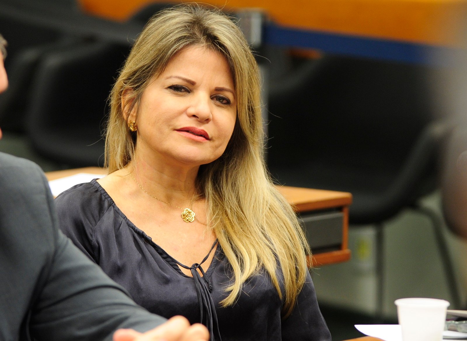 Segurança pública aprova inclusão de medidas protetivas a mulheres nos sistemas de registro das polícias