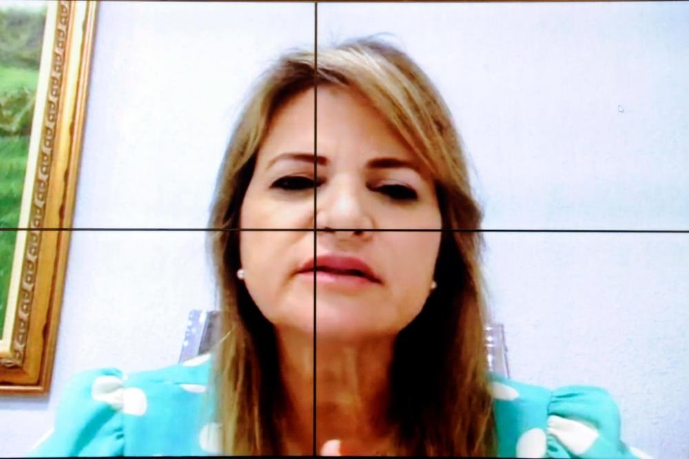 Seguridade realiza novo debate sobre os trabalhos da Subcomissão de Assistência Social