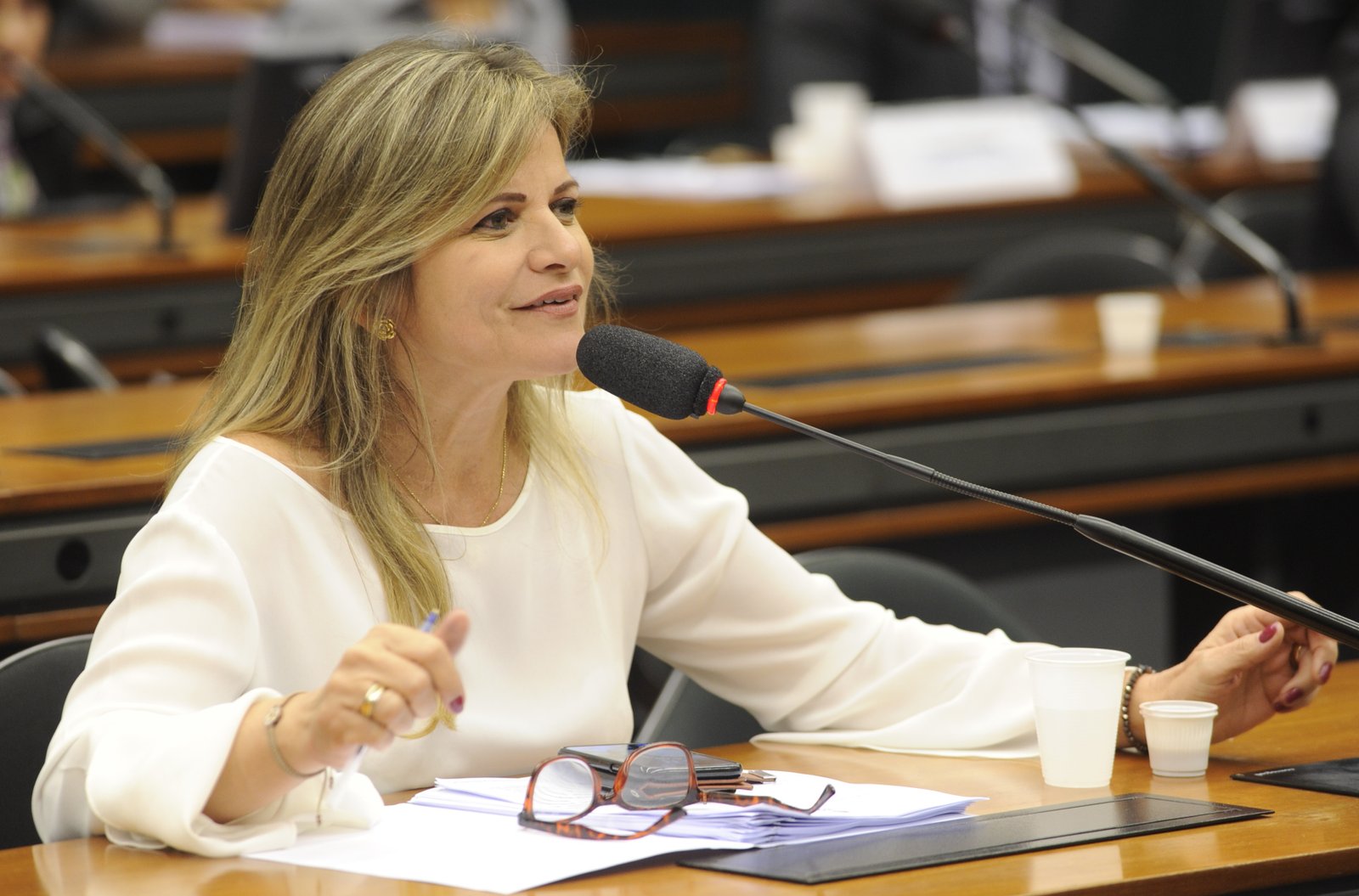 Comissão debate aumento da violência contra a mulher