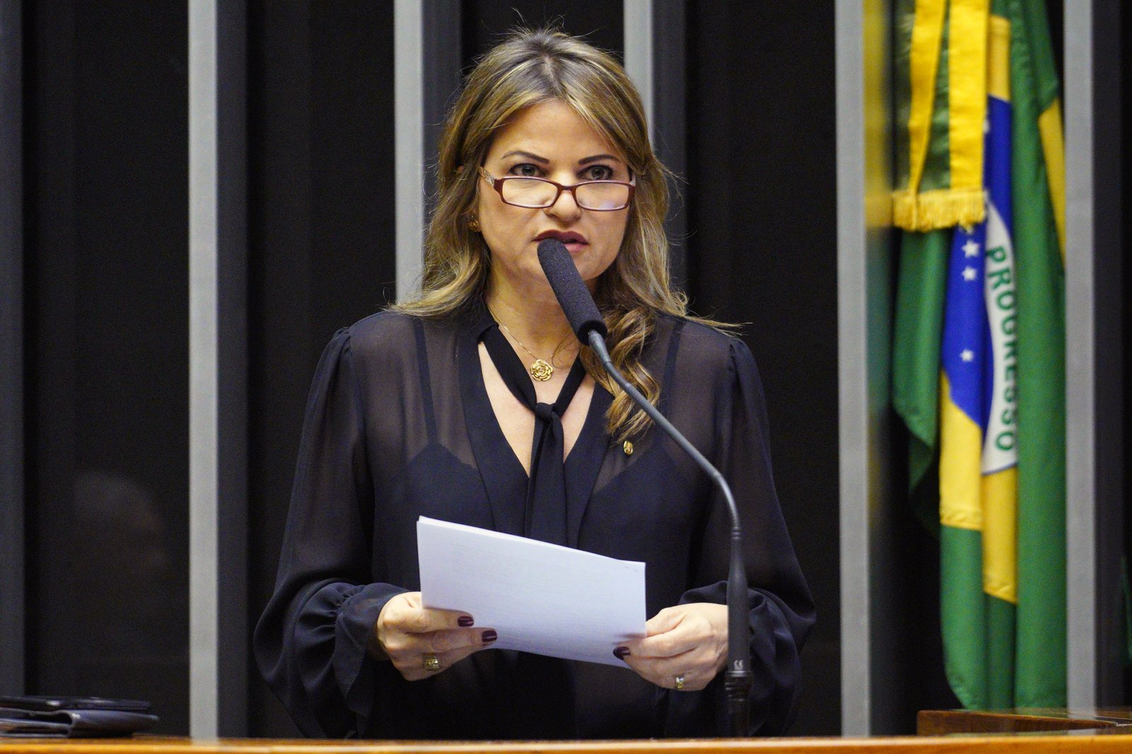 Câmara aprova oito projetos na semana, um deles com relatoria de Flávia Morais