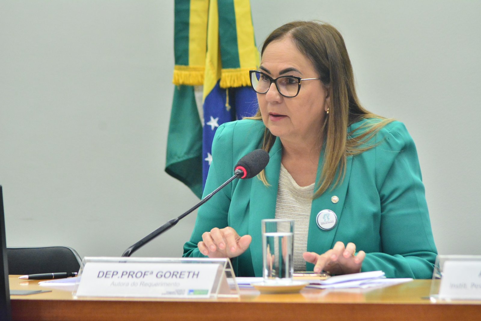 Aprovado requerimento de Professora Goreth para debater regulamentação da profissão de pedagogos