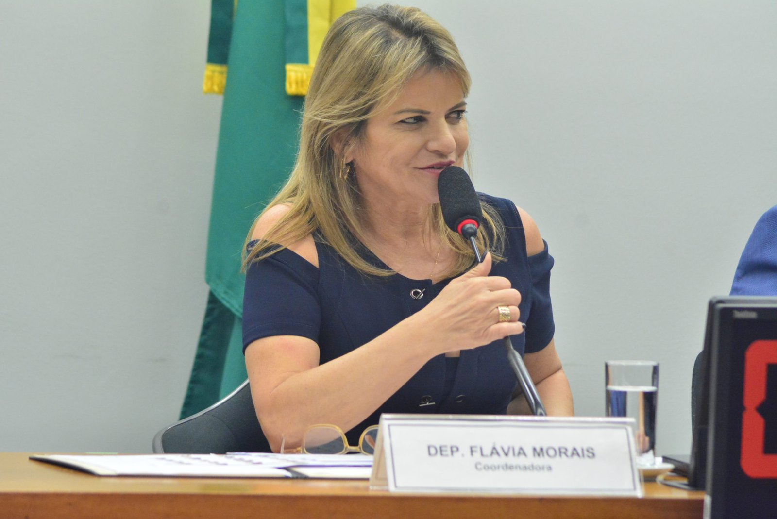Aprovado projeto de Flávia Morais que garante alimento a filhos menores de mulher agredida