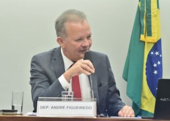 “Não se Cale e Não Cale” é o nome da política proposta por André Figueiredo para prevenir e superar a violência entre mulheres