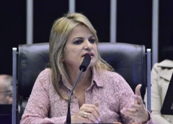 Pedetista Flávia Morais propõe penas mais rígidas para crimes ambientais