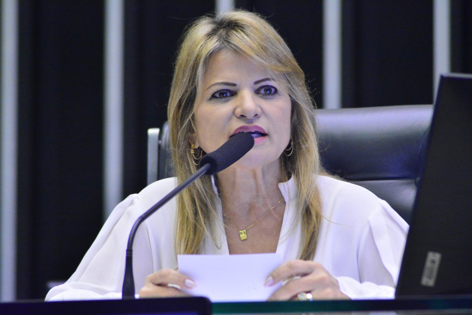 Dia Nacional da Identidade no Brasil é proposto por Flávia Morais