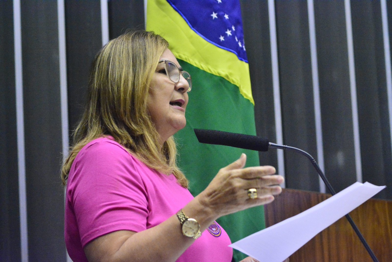 Aprovado projeto de Professora Goreth que cria fundo para custear estudos de jovens no Brasil e no exterior