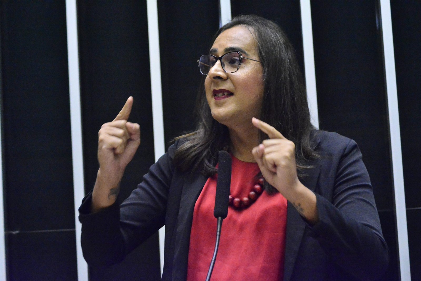 Deputada Duda Salabert (PDT-MG)