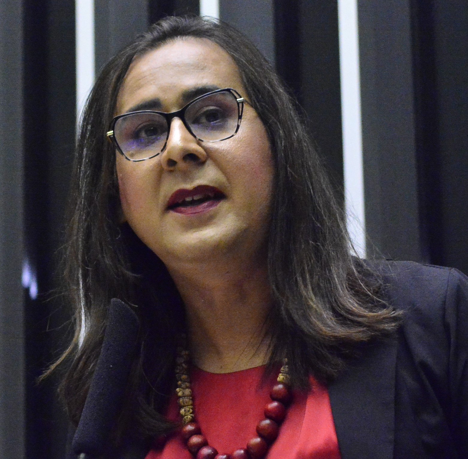 Deputada Duda Salabert (PDT-MG)