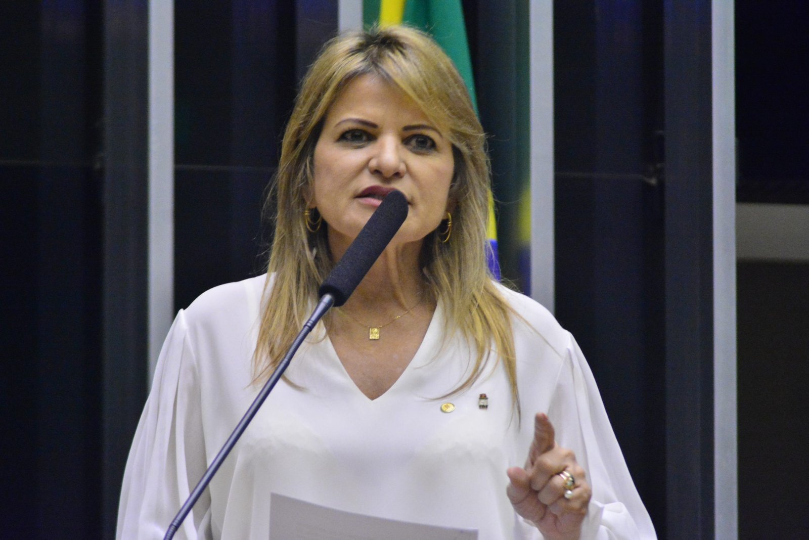 Comissão que acompanha obras paralisadas vai realizar seminário proposto por Flávia Morais no estado de Goiás