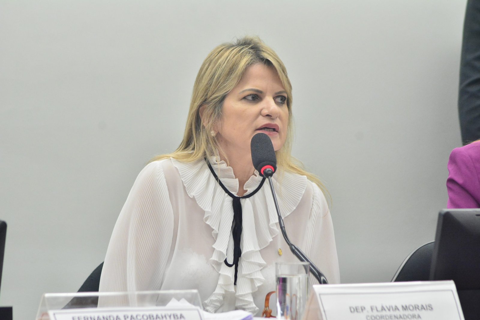 Aprovado relatório de Flávia Morais ao protocolo de combate ao trabalho forçado ou obrigatório