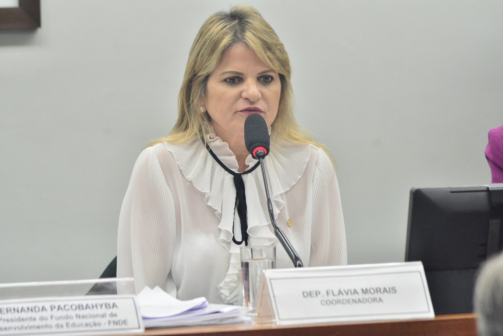 Comissão de Cultura aprova relatório de Flávia Morais que oficializa o nome da Lei Maria da Penha