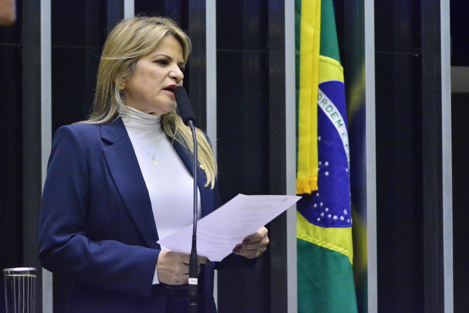 Deputada Flávia Morais (PDT-GO)