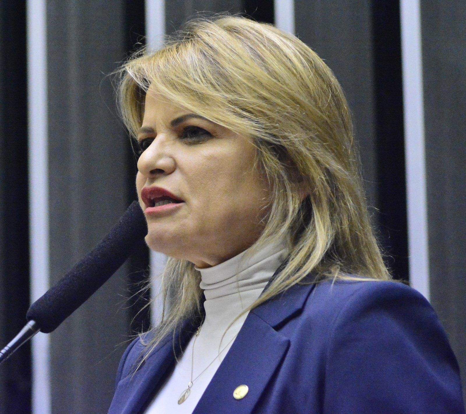 Deputada Flávia Morais (PDT-GO)