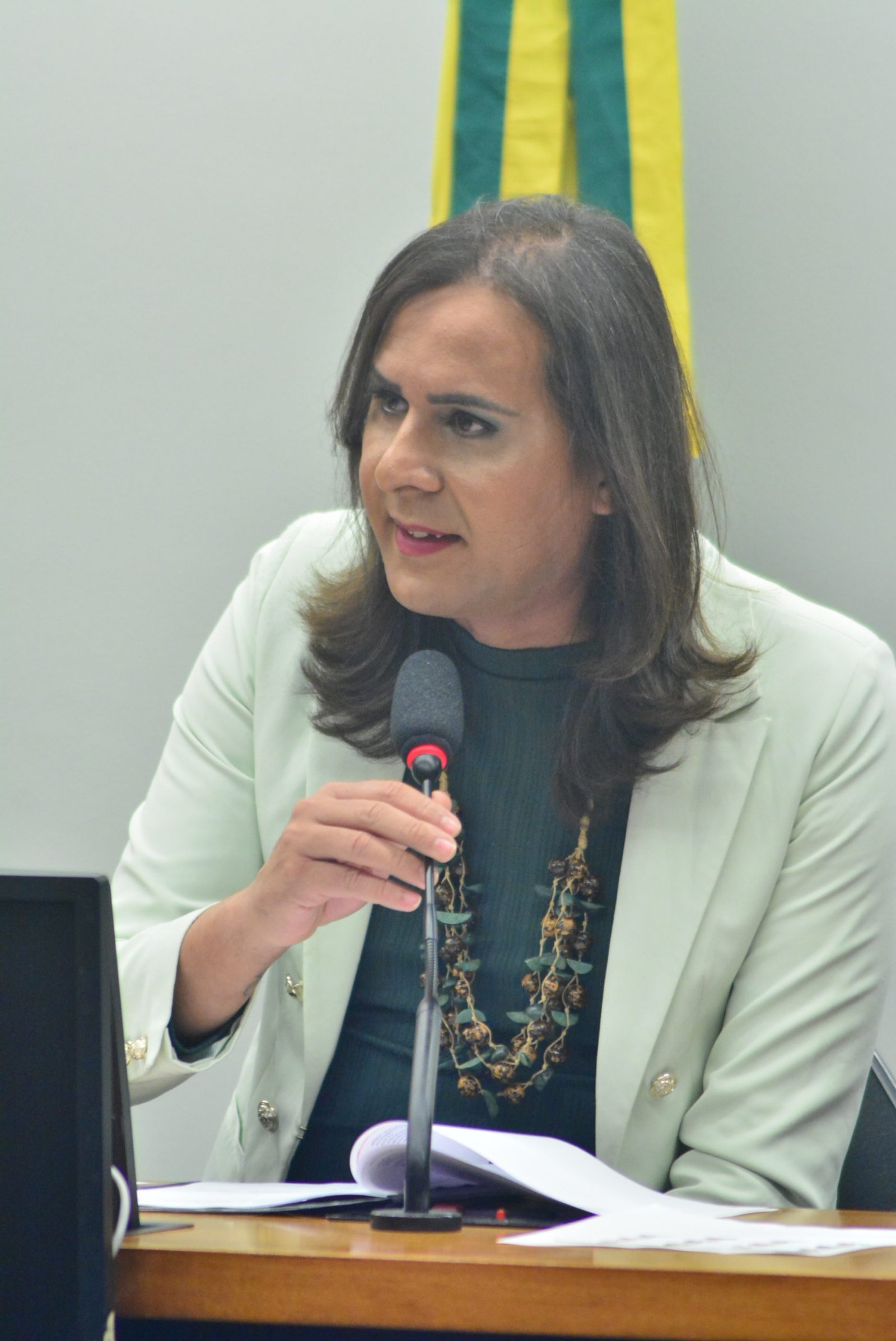 Deputada Duda Salabert (PDT-MG)
