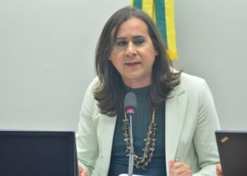 Comissão vai analisar parecer de Duda Salabert a projeto que cria política para controle de produtos químicos