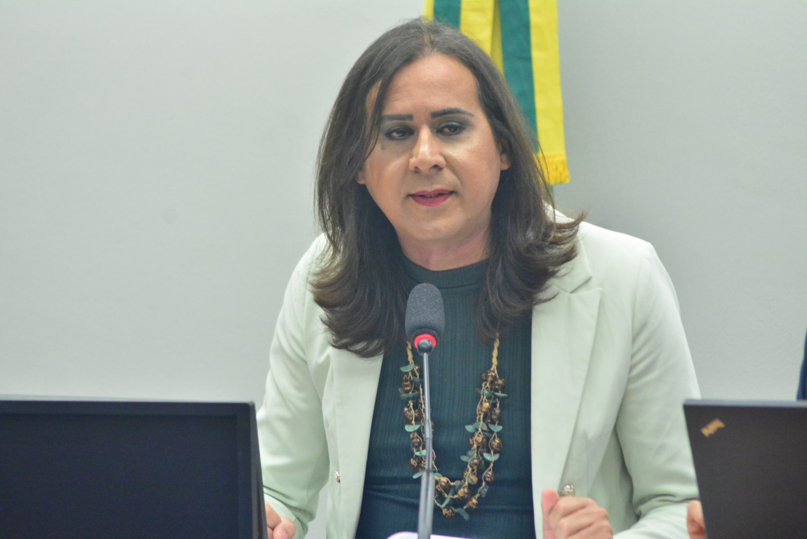 Duda Salaber sugere ao Executivo criar grupo de trabalho para regulamentar o Programa Empresa + Mulheres