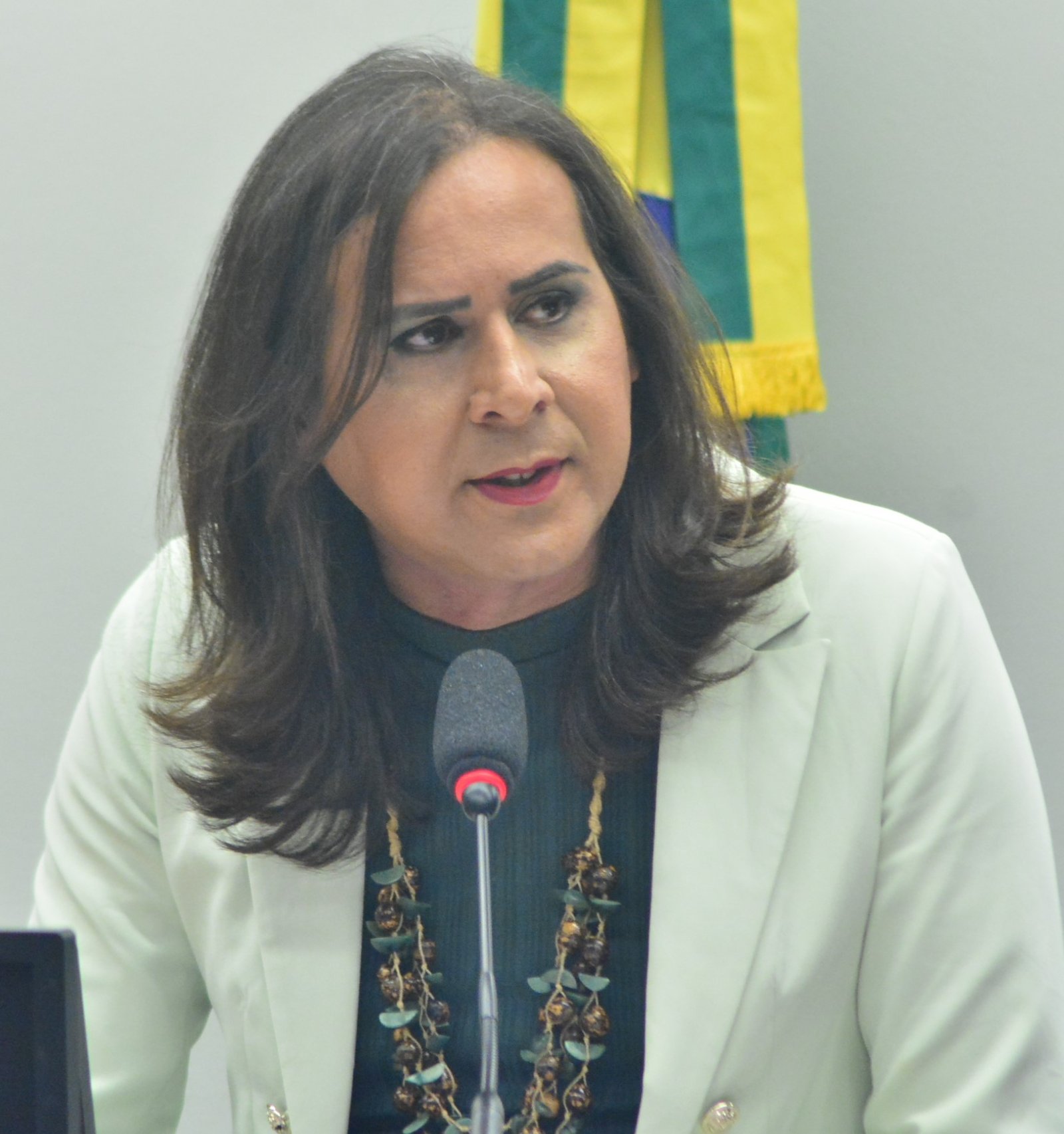 Deputada Duda Salabert (PDT-MG)