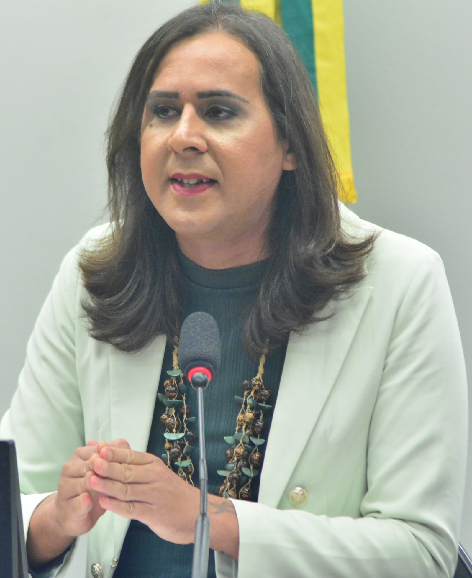 Deputada Duda Salabert (PDT-MG)