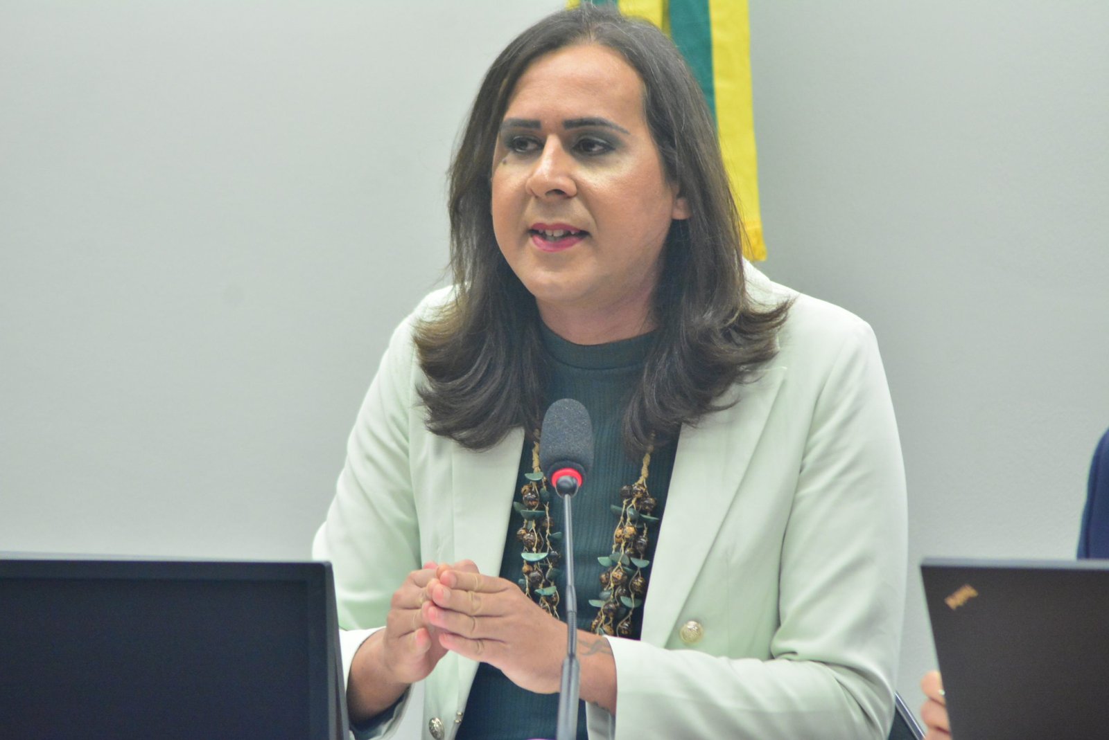 Comissão aprova parecer de Duda Salabert para tipificar como crime o uso de coleira que cause sofrimento aos cães