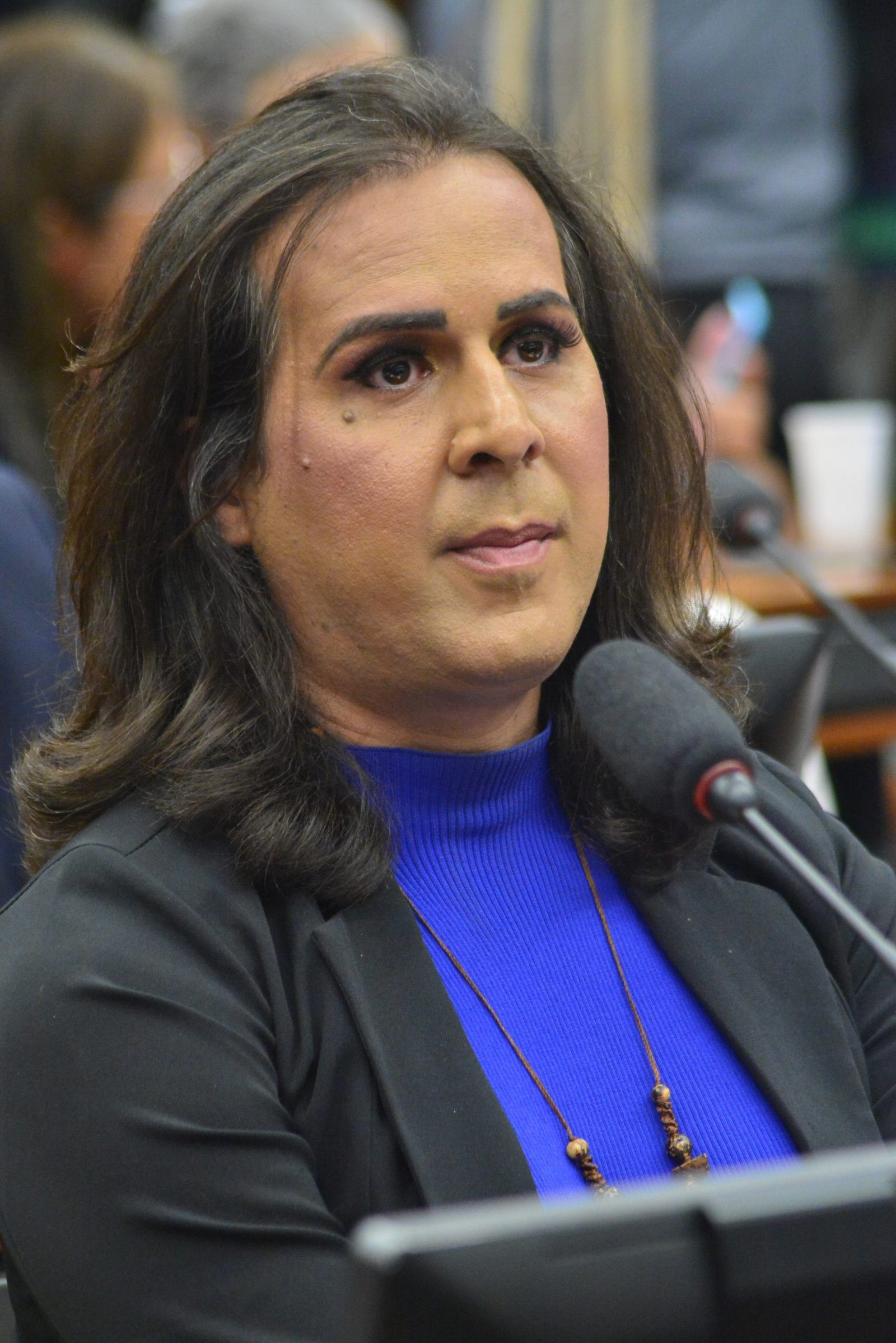 Deputada Duda Salabert (PDT-MG)