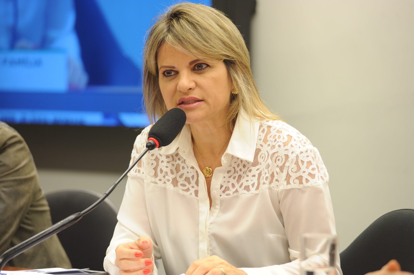 CCJ vai analisar texto de Flávia Morais a PL que prevê atendimento por promotores e defensores públicos a mulheres em situação de violência