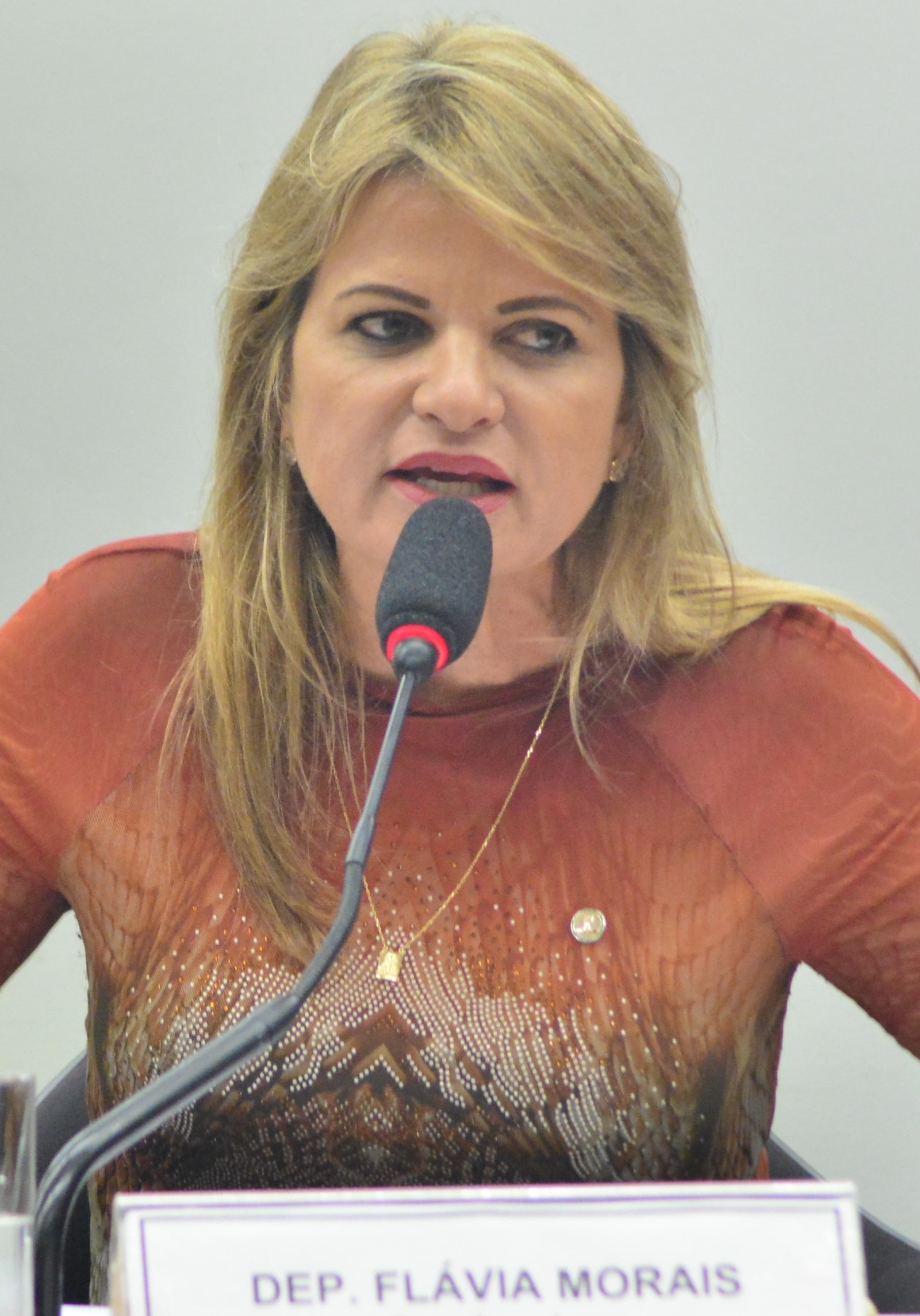 Deputada Flávia Morais (PDT-GO)