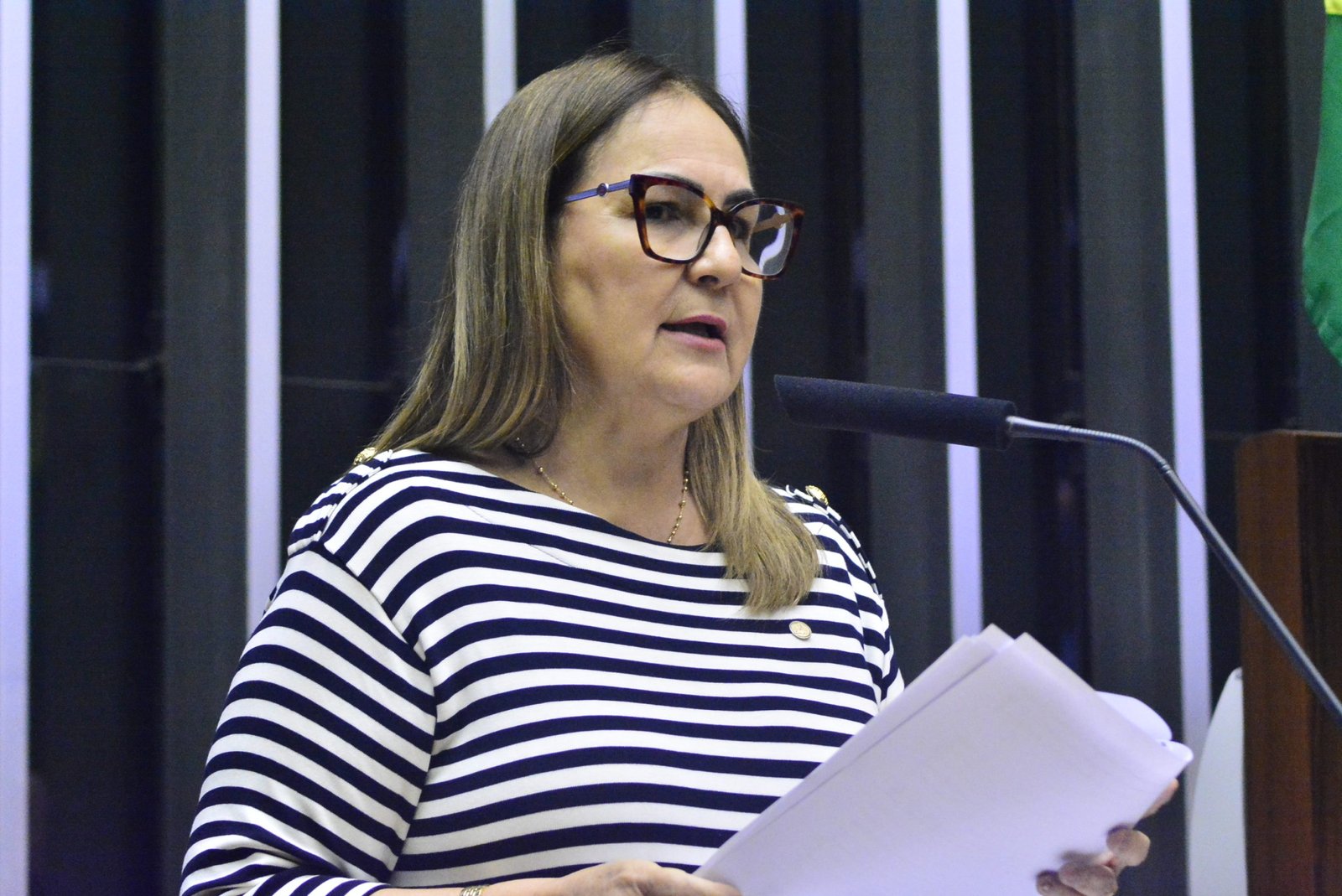 Câmara Instala Frente Parlamentar Mista em Defesa da Escola Pública e Professora Goreth coordena o colegiado