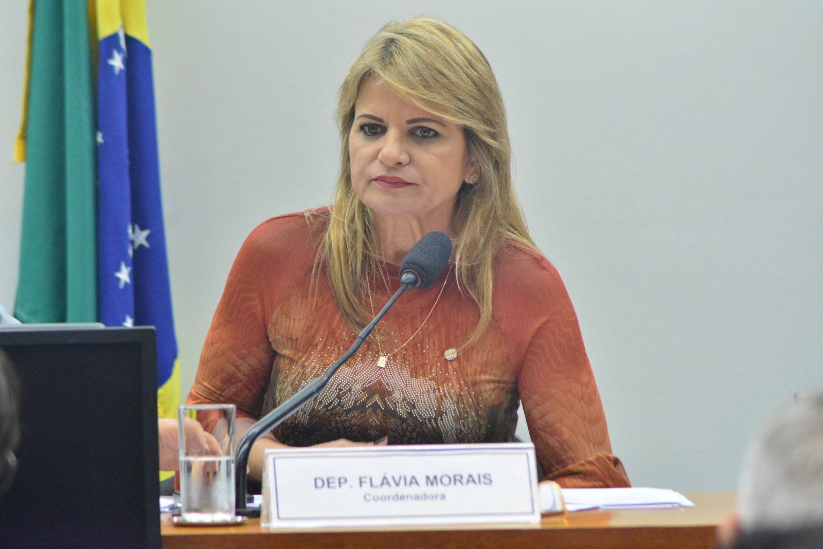 Aprovado parecer de Flávia Morais a projeto que garante remuneração à atleta grávida e até cinco meses após o parto