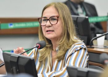 Comissão aprova parecer de Professora Goreth que garante defesa gratuita à mulher de baixa renda vítima de violência doméstica