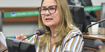 Comissão aprova parecer de Professora Goreth que garante defesa gratuita à mulher de baixa renda vítima de violência doméstica