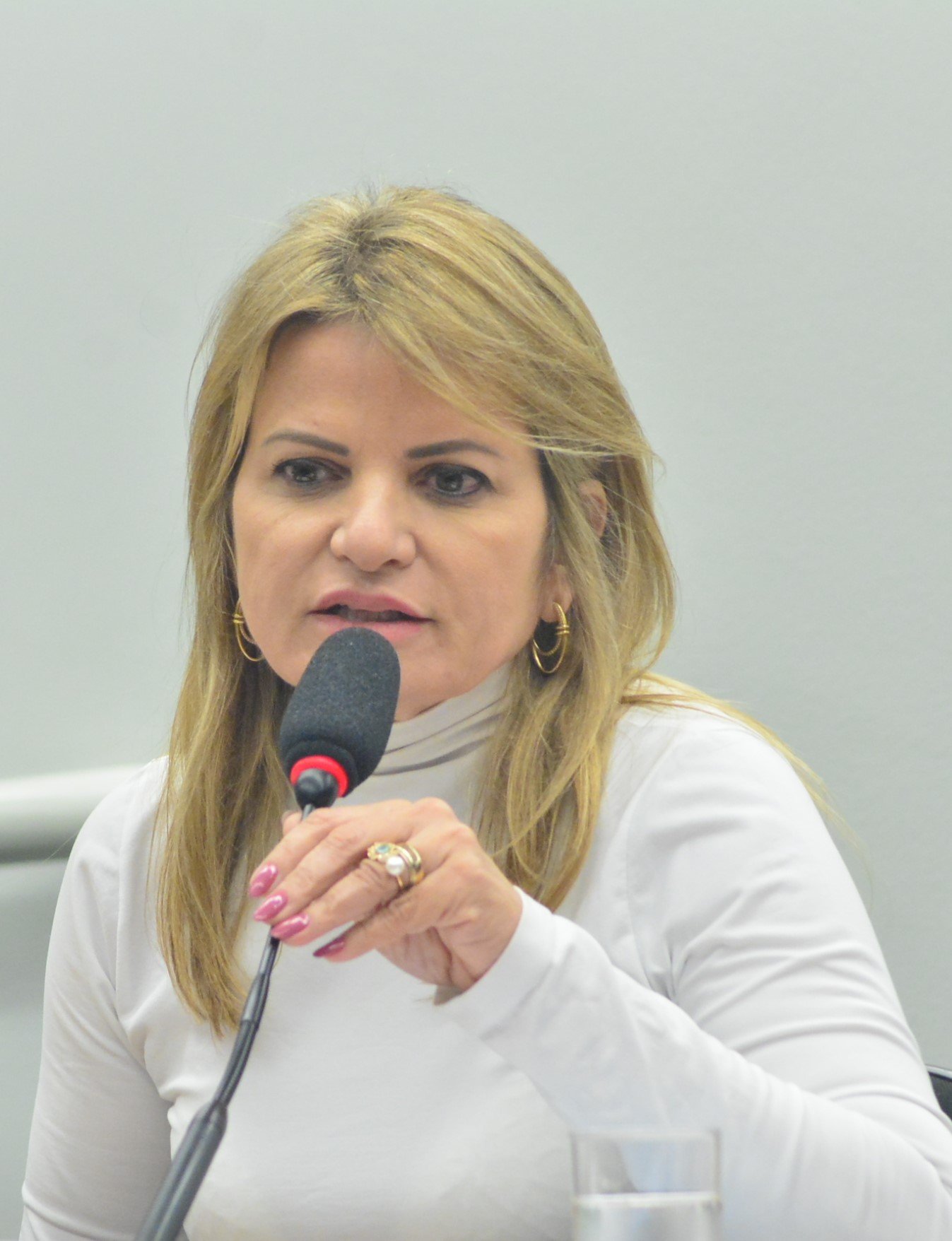 Deputada Flávia Morais (PDT-GO)