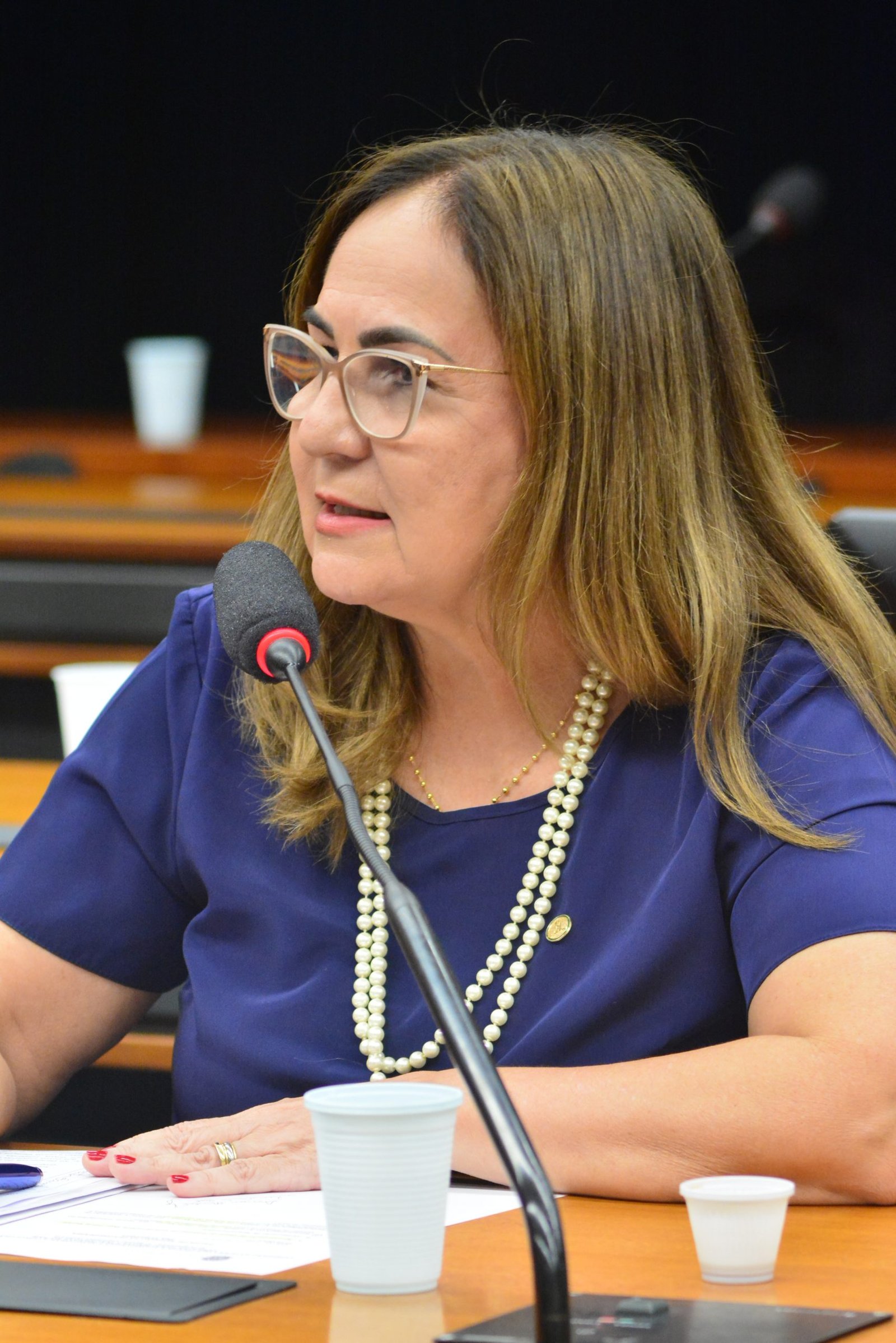 Deputada Professora Goreth (PDT-AP)