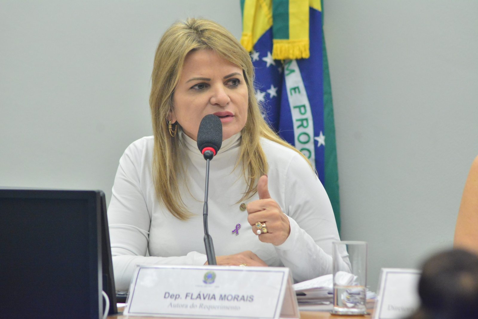 Projeto de Flávia Morais que cria certificação voluntária para produção de lítio verde é aprovado em comissão