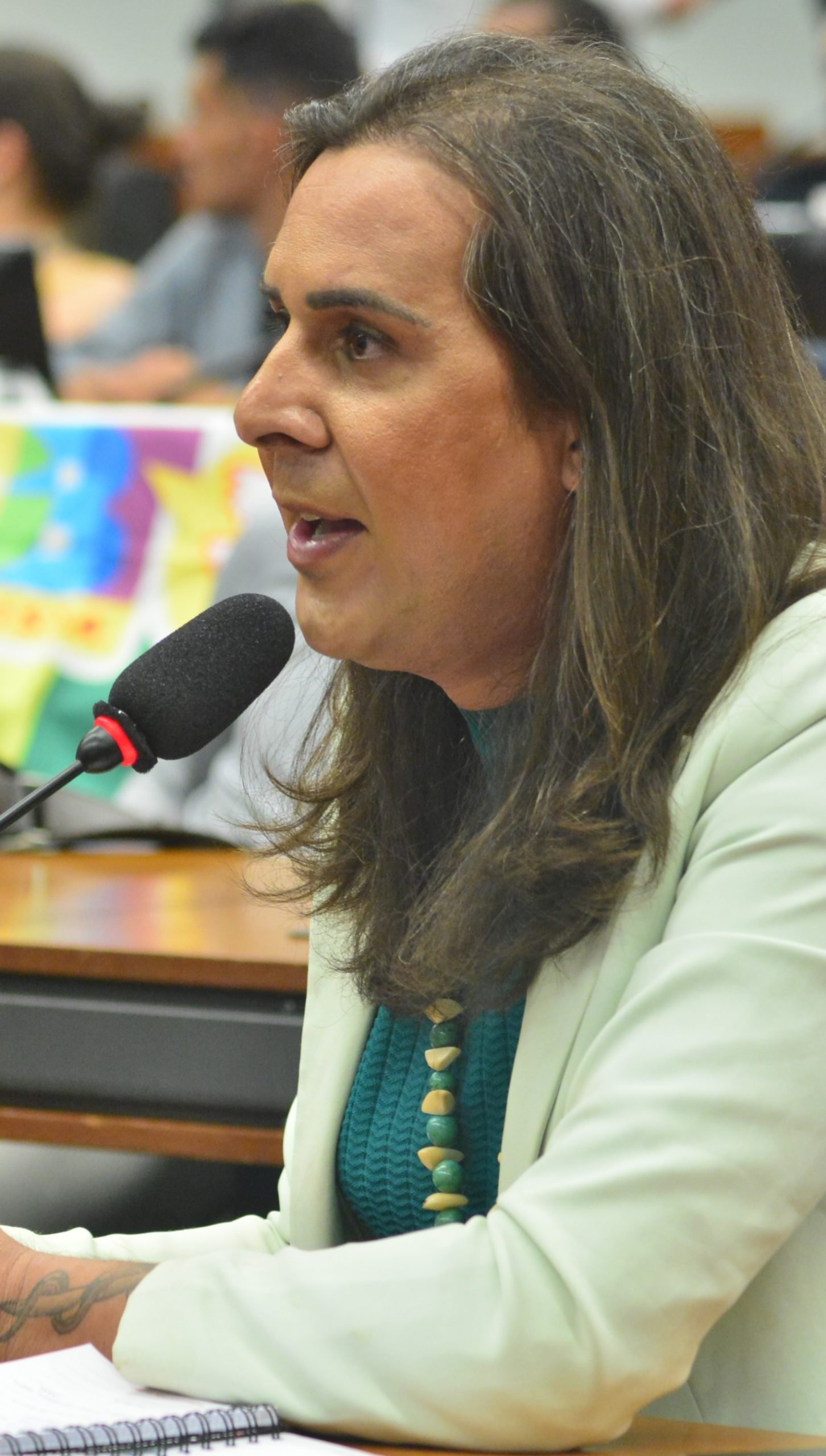 Deputada Duda Salabert (PDT-MG)