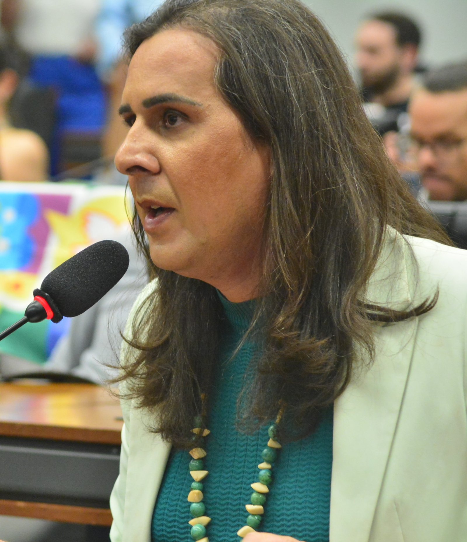 Deputada Duda Salabert (PDT-MG)