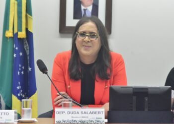 Duda Salabert é eleita presidenta da Subcomissão Especial que vai acompanhar o debate climático na COP-30, em Belém (PA)