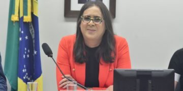 Duda Salabert é eleita presidenta da Subcomissão Especial que vai acompanhar o debate climático na COP-30, em Belém (PA)