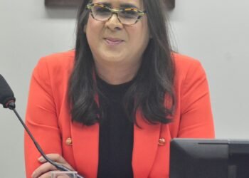 Deputada Duda Salabert (PDT-MG)