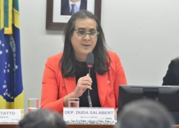 Comissão aprova projeto de Duda Salabert com diretrizes para preparar as cidades nas adversidades climáticas