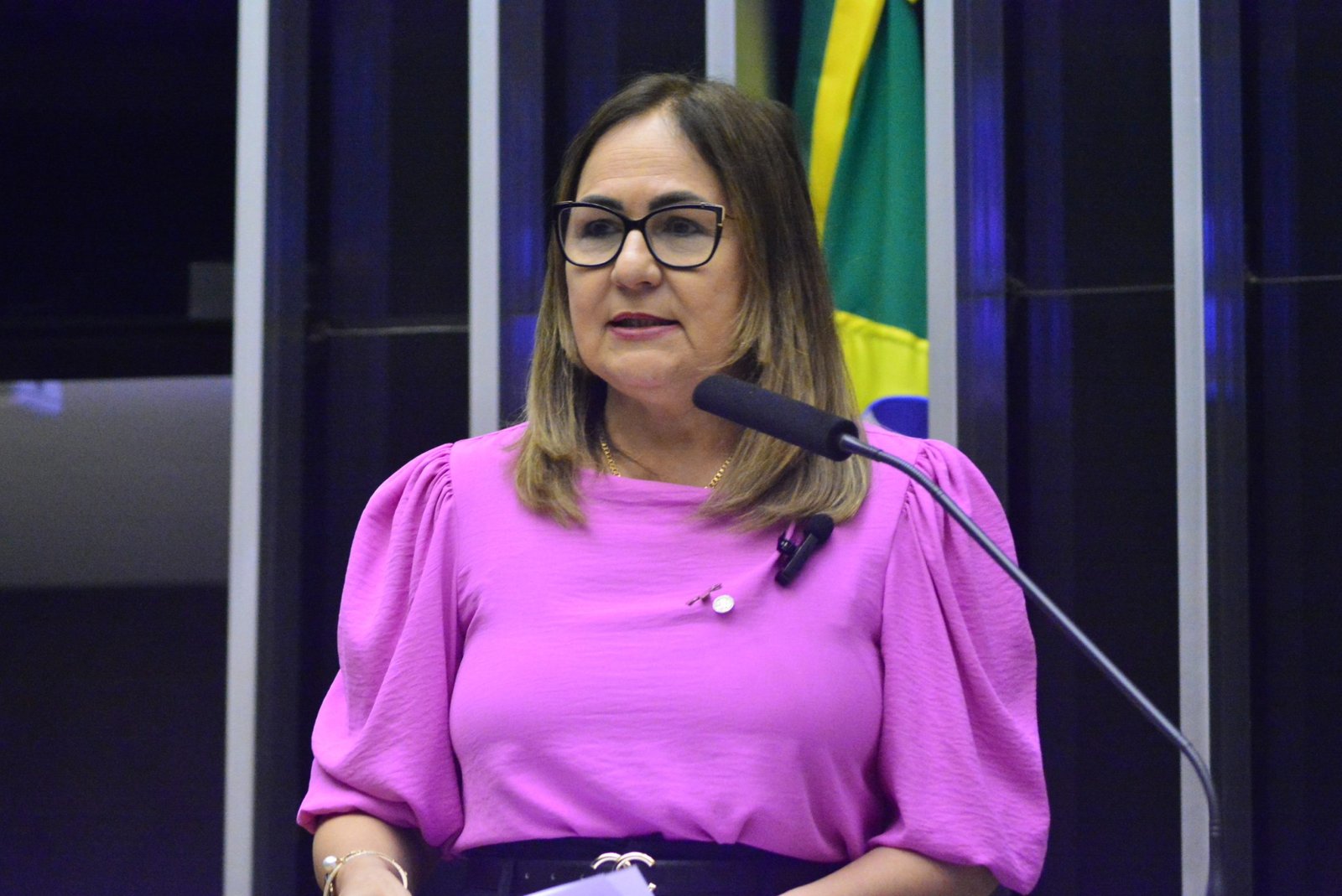 Professora Goreth propõe pagamento extra para conselheiros e conselheiras do Fundeb