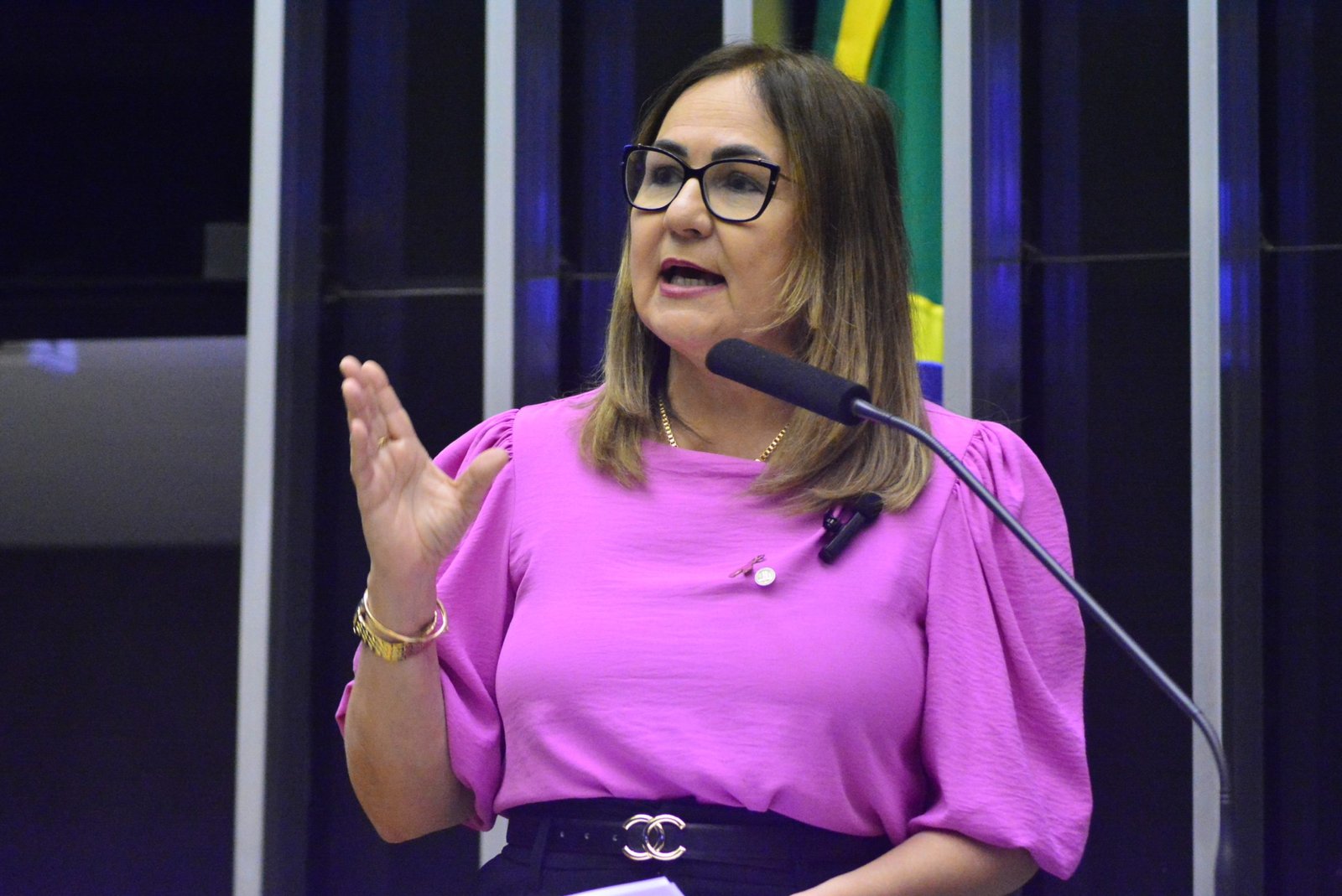 Comissão aprova requerimento da Professora Goreth de moção de solidariedade à Comunidade Bahá’í do Brasil