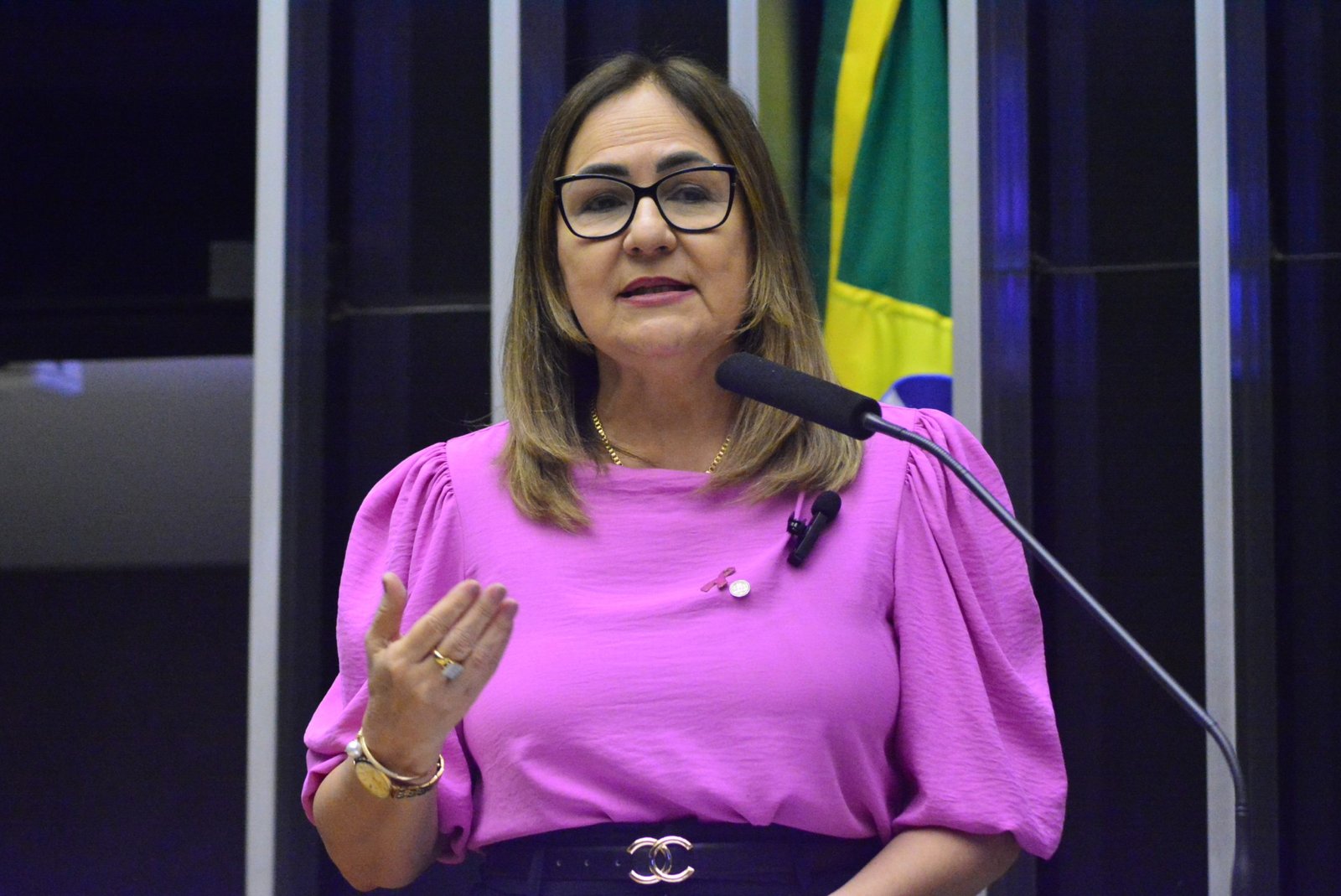 Deputada Professora Goreth (PDT-AP)