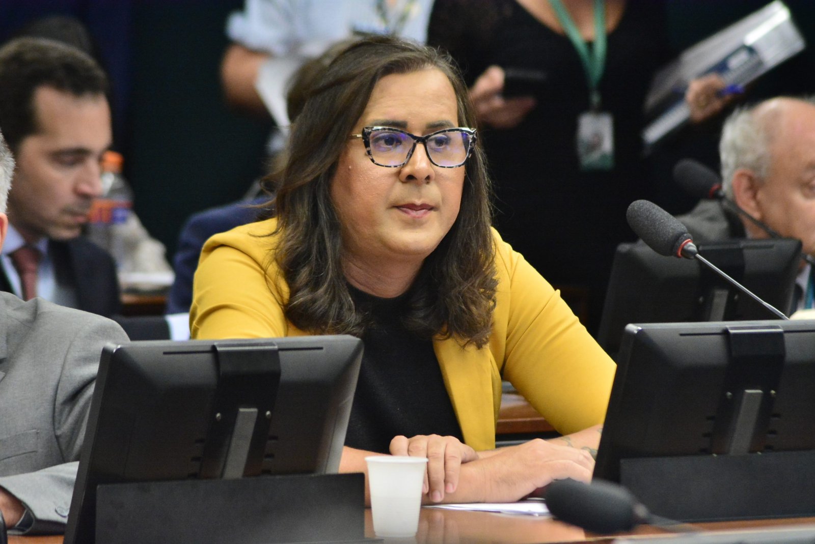 Duda Salabert cobra maior prazo prescricional e mais rigor às penas para crimes ambientais