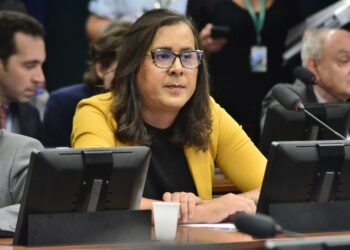 Comissão de Meio Ambiente aprova o “Dia Nacional para a Ação Climática” proposto por Duda Salabert